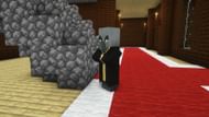 An Evoker in a woodland mansion (Image via Mojang)